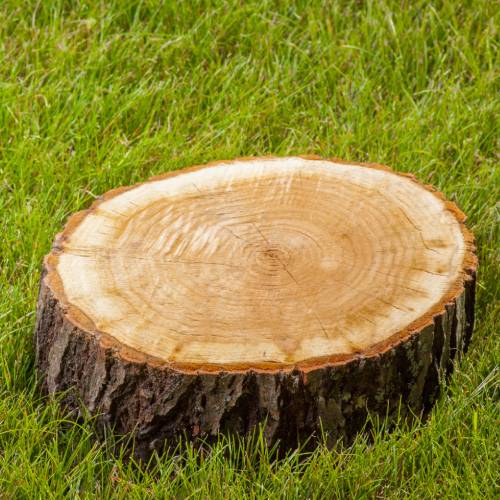 Stump Grinding